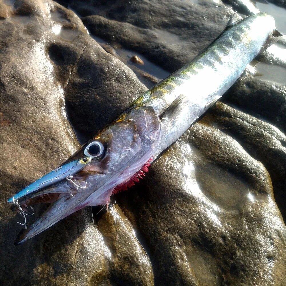 GOBAIT VIB Fishing Lure 20g 25 - Fishing Lure Blade Bait recensie en prijs