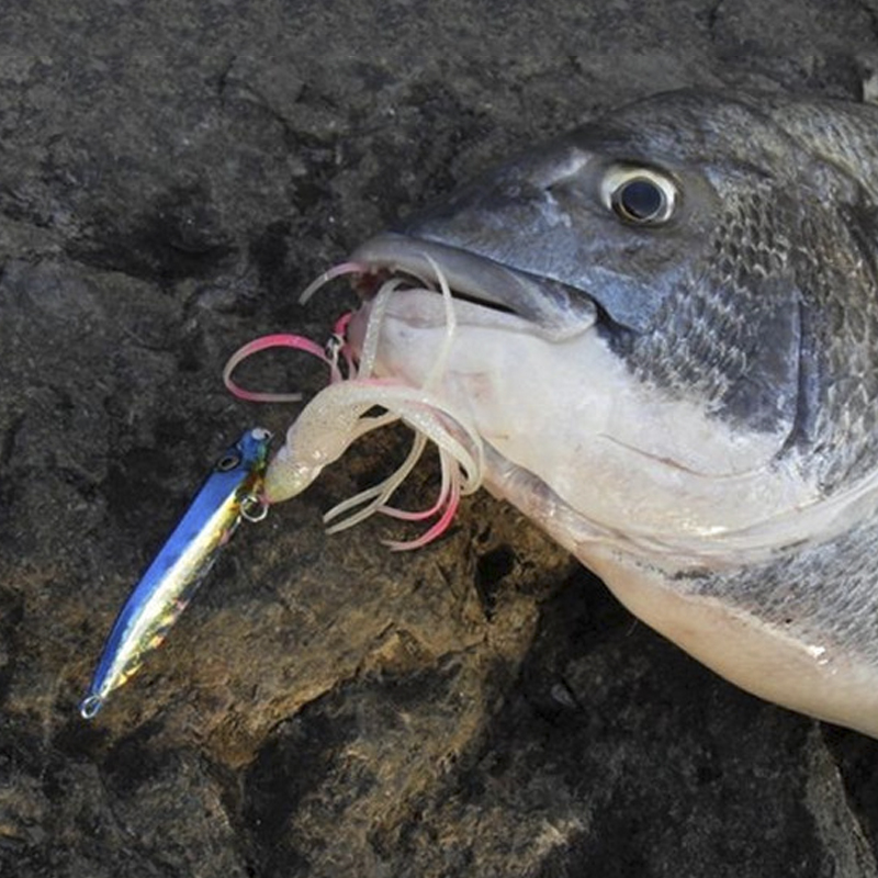 OBSESSION J25 Inchiku Squid Lu - Fishing Lure Buzzbait recensie en prijs