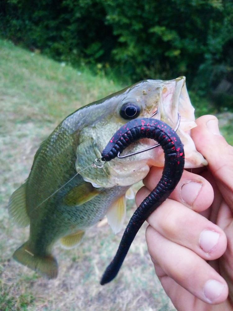 Esfishing Silicone Soft Bait T - Fishing Lure Soft Plastic recensie en prijs